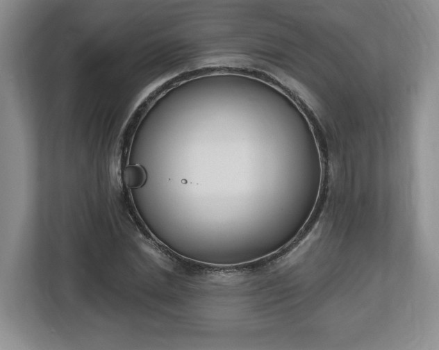 X0000112540830200908241525