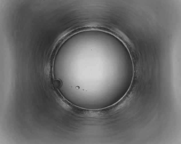 X0000112540831200908241525
