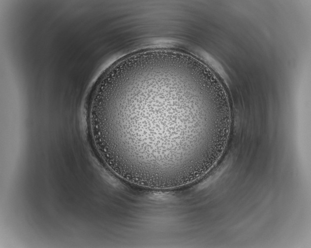 X0000112540835200908241525
