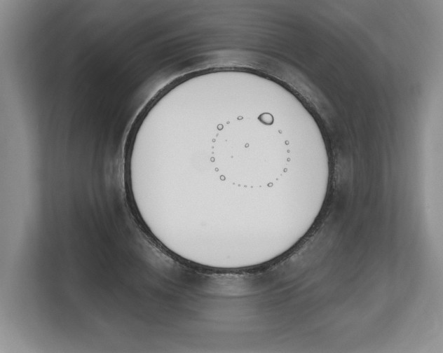 X0000112540836200908241525