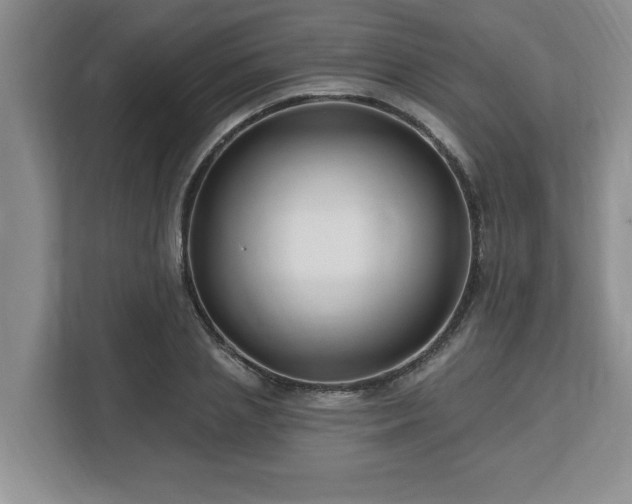 X0000112540837200908241525