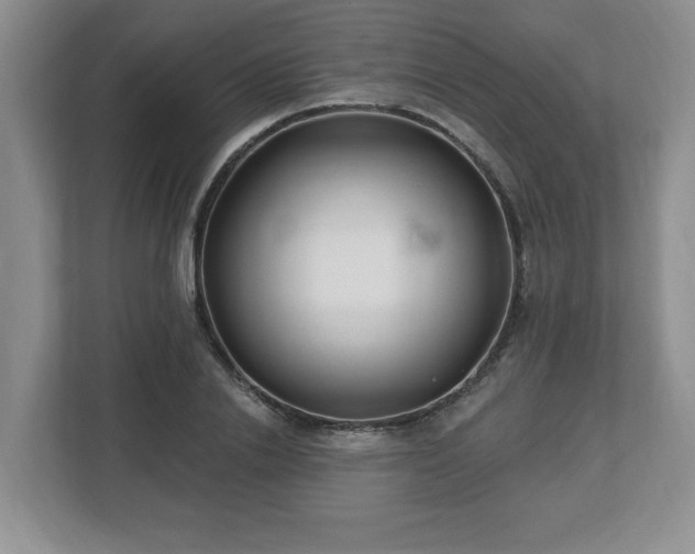 X0000112540838200908241525