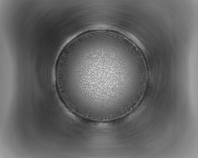 X0000112540839200908241525