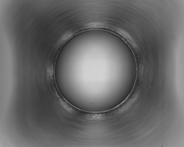 X0000112540841200908241525