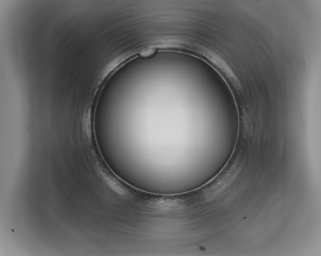 X0000112540842200908241525