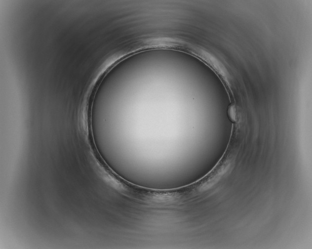 X0000112540843200908241525
