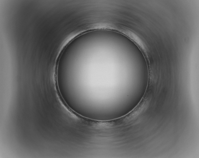 X0000112540847200908241525