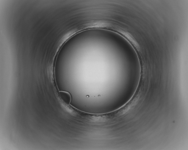 X0000112540850200908241525