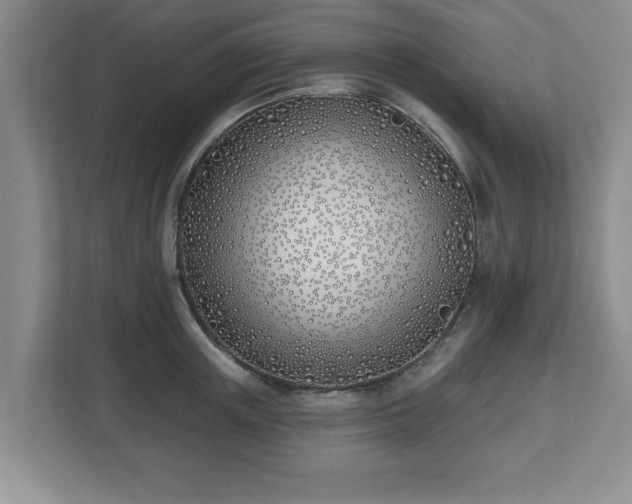 X0000112540851200908241525