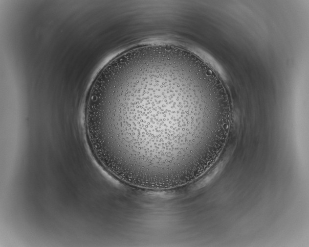 X0000112540855200908241525
