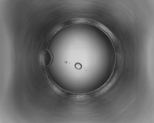 X0000112540857200908241525