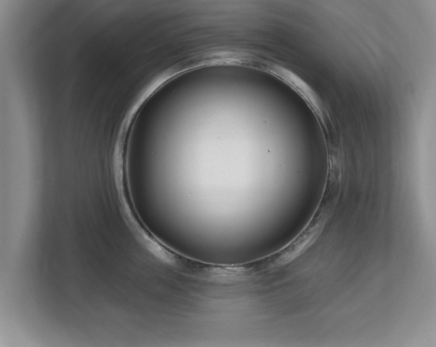 X0000112540859200908241525