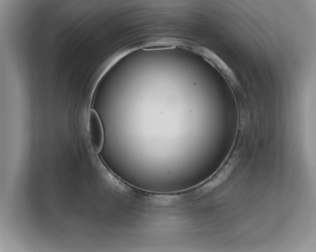X0000112540860200908241525