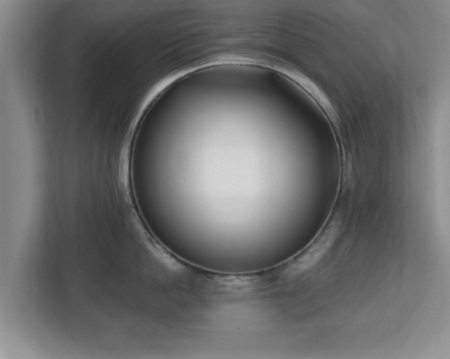 X0000112540862200908241525