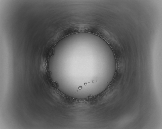 X0000112540866200908241525