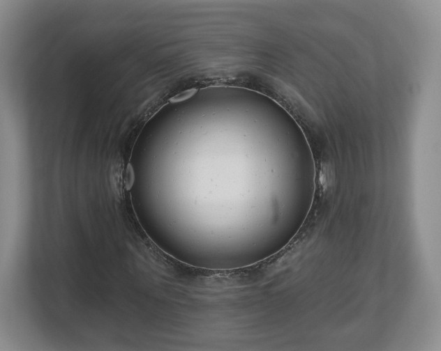 X0000112540867200908241525