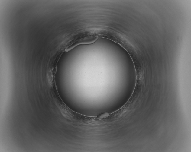 X0000112540868200908241525