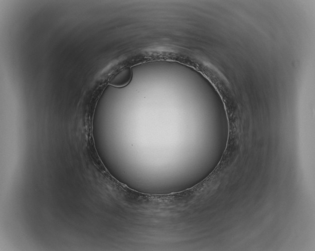 X0000112540870200908241525