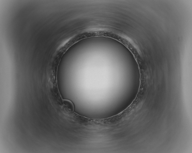 X0000112540871200908241525