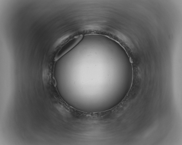 X0000112540872200908241525