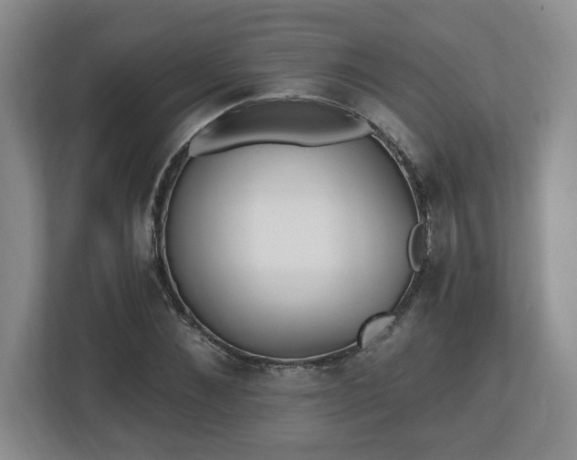 X0000112540876200908241525