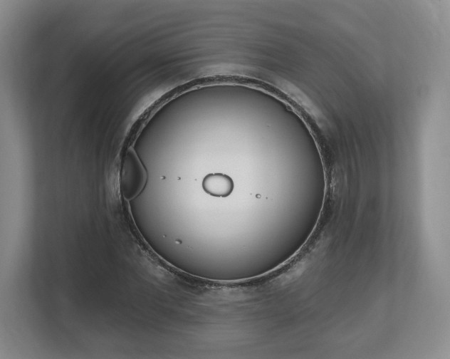 X0000112540877200908241525