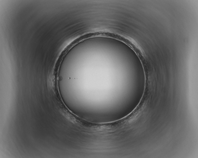 X0000112540879200908241525