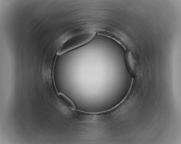 X0000112540881200908241525