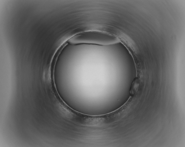 X0000112540884200908241524