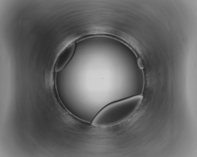 X0000112540885200908241524