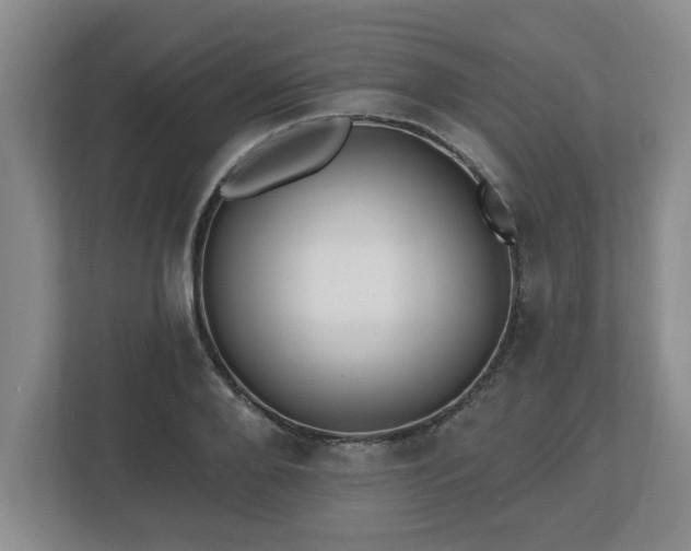 X0000112540888200908241524