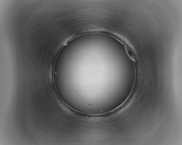 X0000112540889200908241524