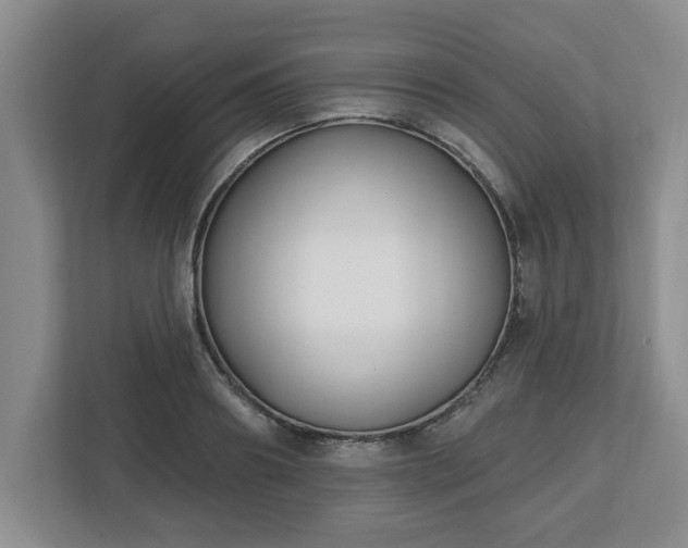 X0000112540890200908241524