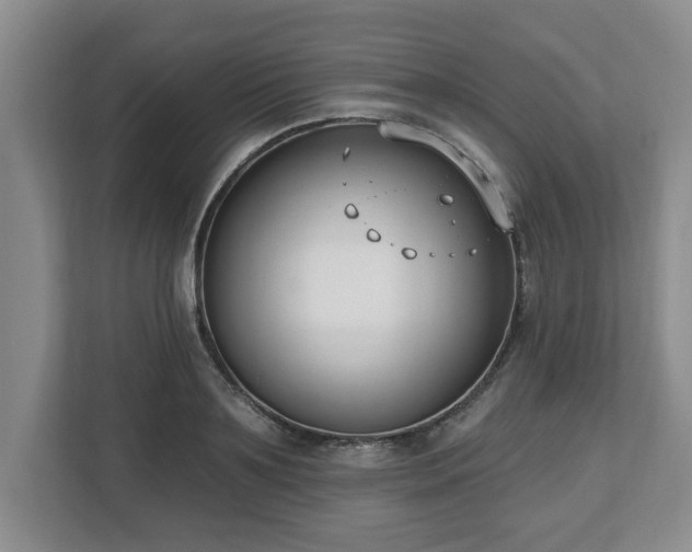 X0000112540891200908241524