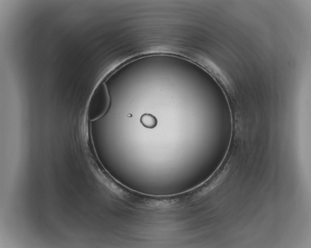X0000112540892200908241524