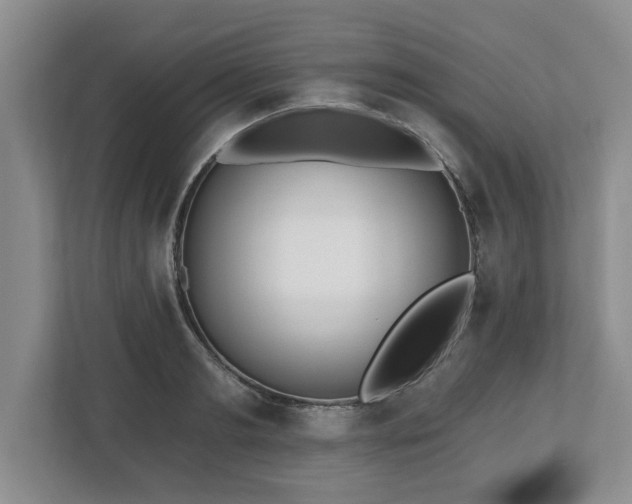 X0000112540893200908241524