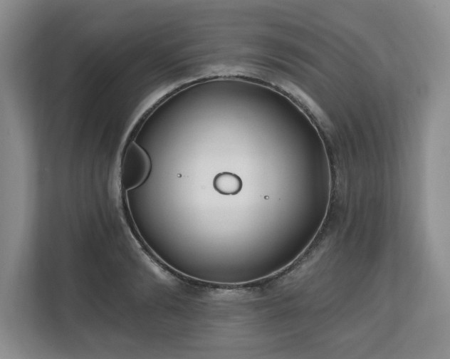X0000112540894200908241524