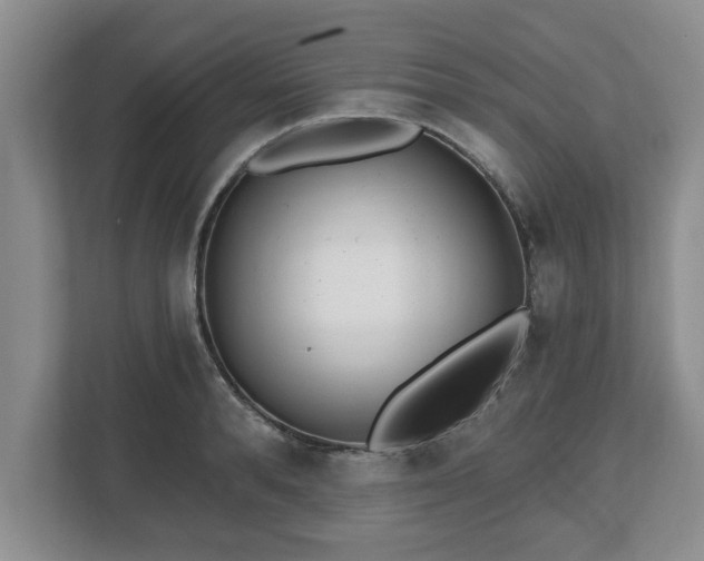 X0000112540896200908241524