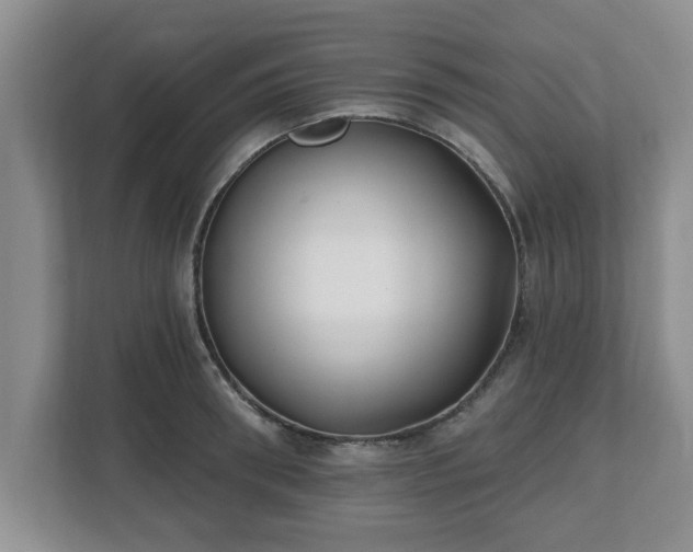 X0000112540898200908241524