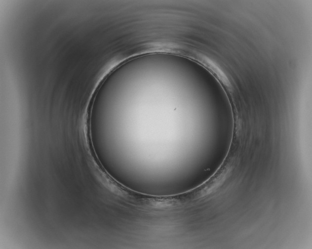 X0000112540899200908241524