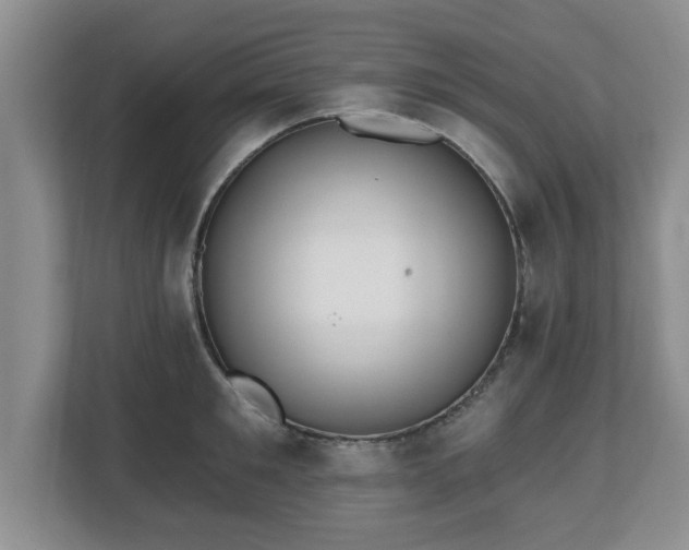 X0000112540901200908241524