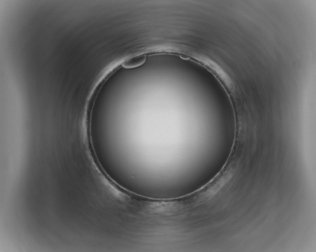 X0000112540902200908241524