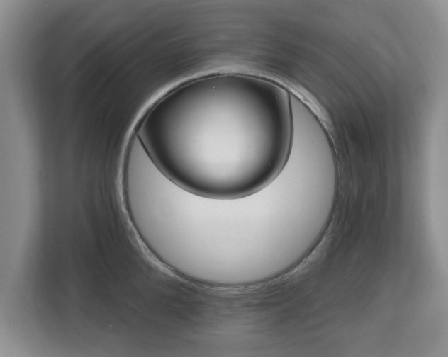 X0000112540904200908241524