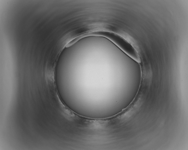 X0000112540905200908241524