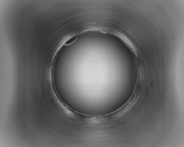 X0000112540906200908241524
