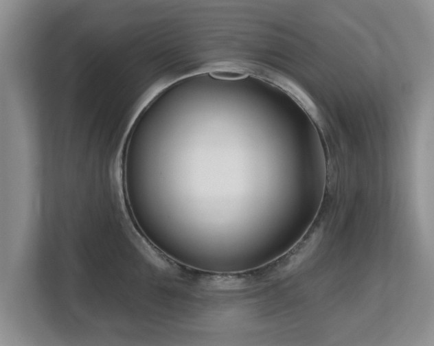 X0000112540907200908241524