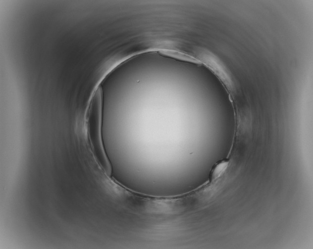 X0000112540908200908241524