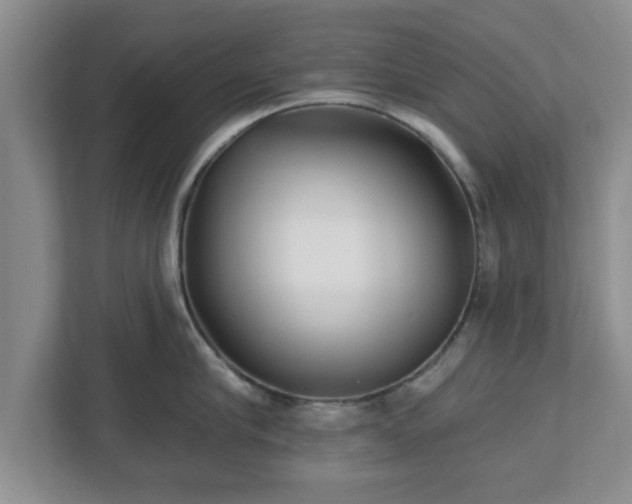 X0000112540910200908241524