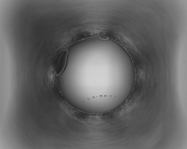 X0000112540914200908241524