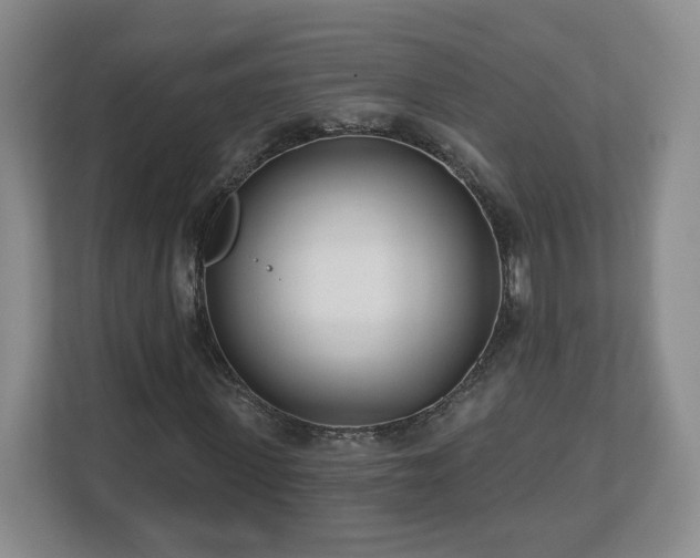 X0000112540915200908241524